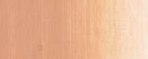 Huile extra-fine Sennelier OCRE DE CHAIR 40 ml série 1