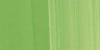 LUKAS 1862 37ML VERT PERMANENT JAUNATRE